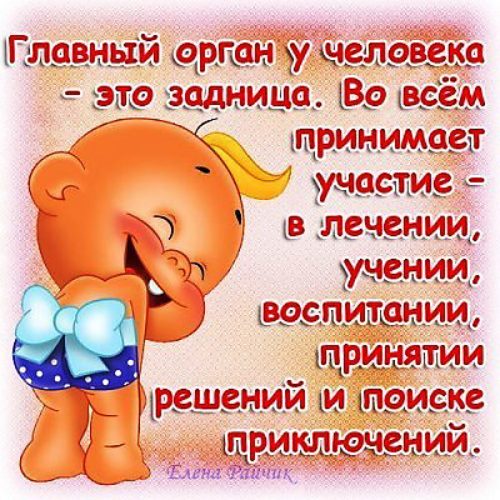 Смешные статусы стишками Смешные статусы стишками