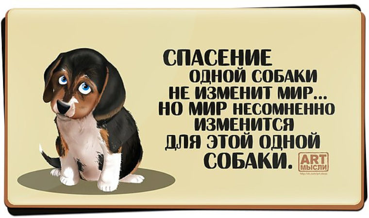 Статусы для детей про собак Статусы для детей про собак