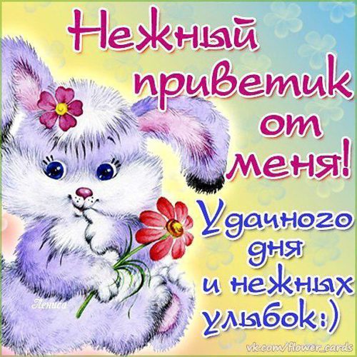 С нежностью от меня пожелания картинки С нежностью от меня пожелания картинки