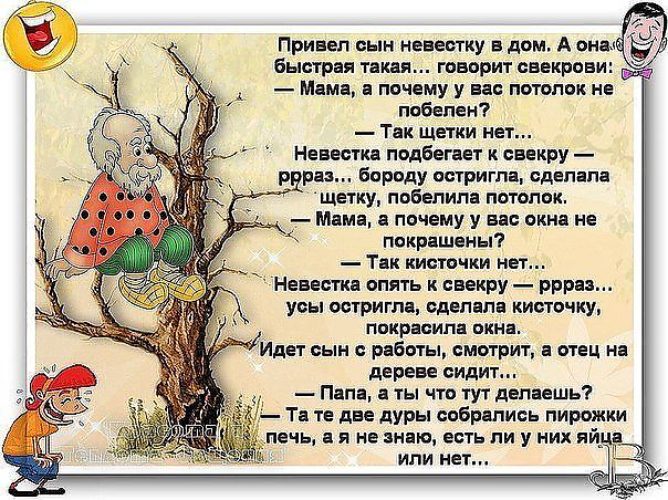 Поговорки про свекровей и снох Поговорки про свекровей и снох