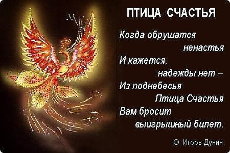 Поздравление в подарок птица Поздравление в подарок птица