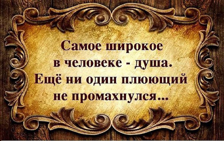 Спортивная одежда дилемма интернет Спортивная одежда дилемма интернет