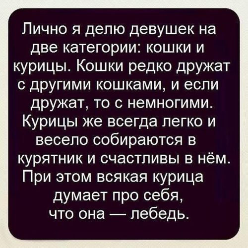 Дёрзкие статусы о жизни Дёрзкие статусы о жизни