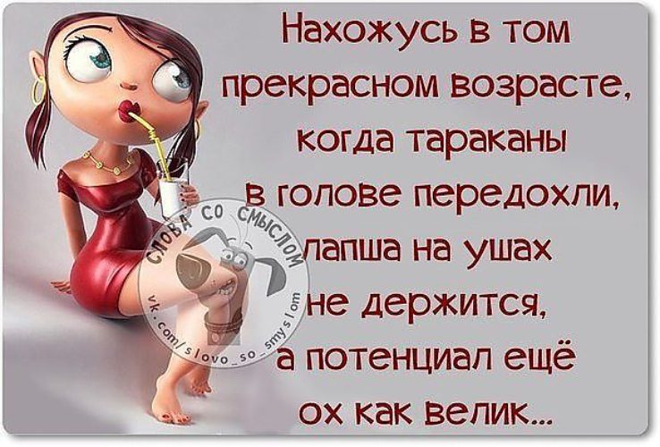 Веселые афоризмы поздравления с Веселые афоризмы поздравления с