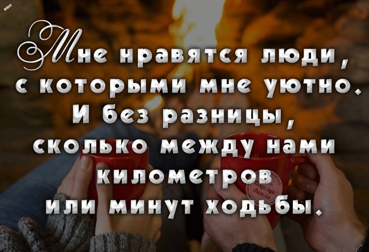Цитаты без разницы Цитаты без разницы