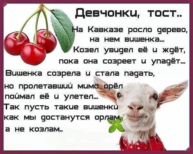 Тост про козлов и про вишенок Тост про козлов и про вишенок