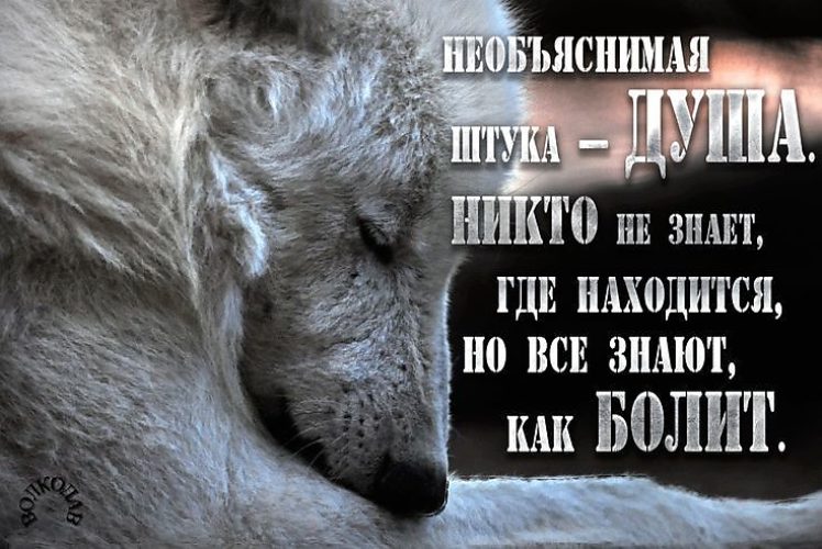 Душа умирает статус Душа умирает статус