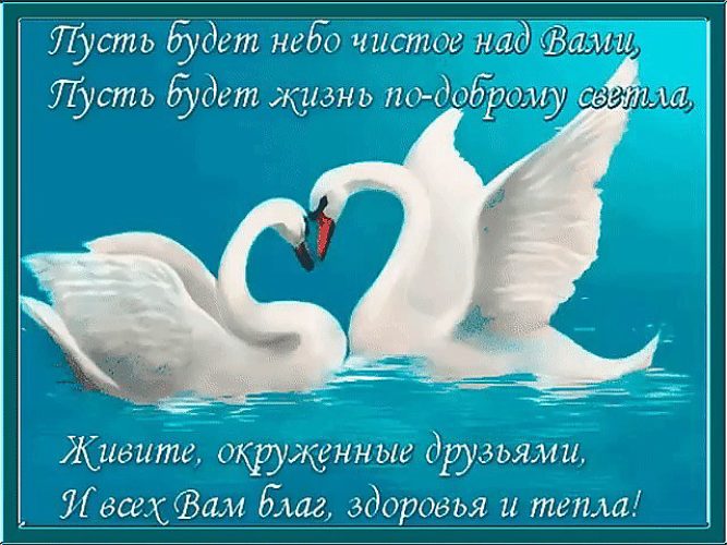 Поздравление с днем бракосочетания в открытках Поздравление с днем бракосочетания в открытках
