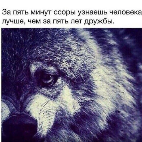 Город Краснодар: климат, экология, районы, экономика Все для маникюра и педикюра в ростове-на-дону