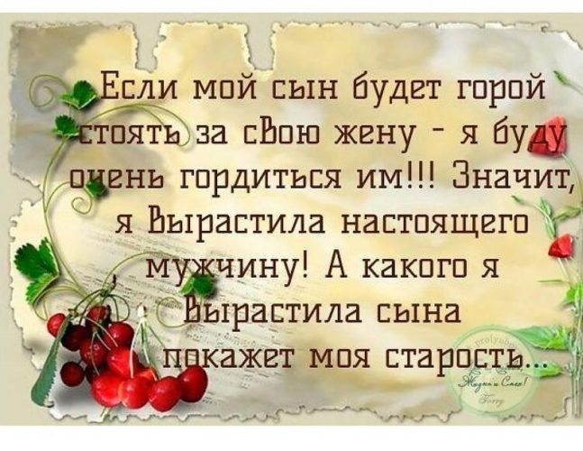 Здесь найдется все! 76 Дневная Сова. Маленьких все обижают