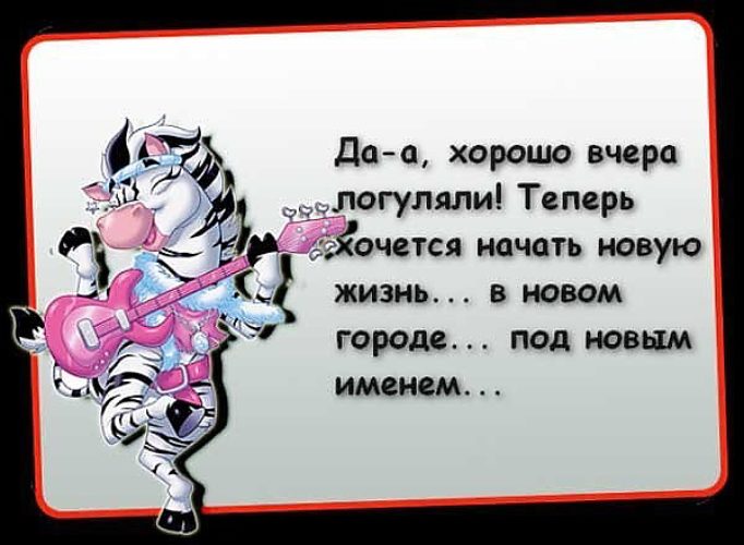 Как правильно красить ресницы тушью: маленькие хитрости и Итоги мероприятия «Лев результаты и победители конкурса