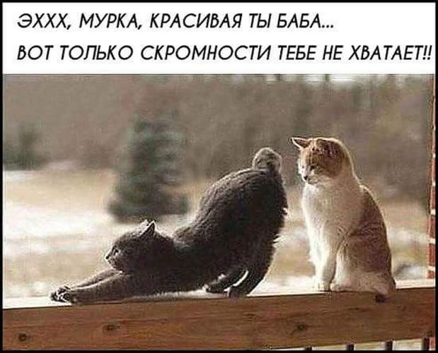 Сценарии Учитель года Стихи к подарку фотография