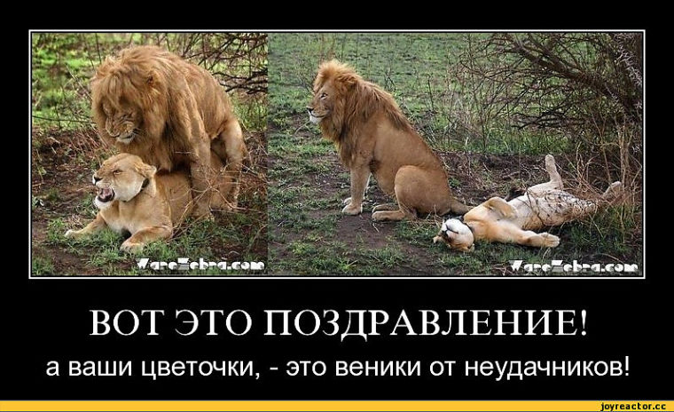 Вот как надо поздравлять маму с днем рождения Вот как надо поздравлять маму с днем рождения