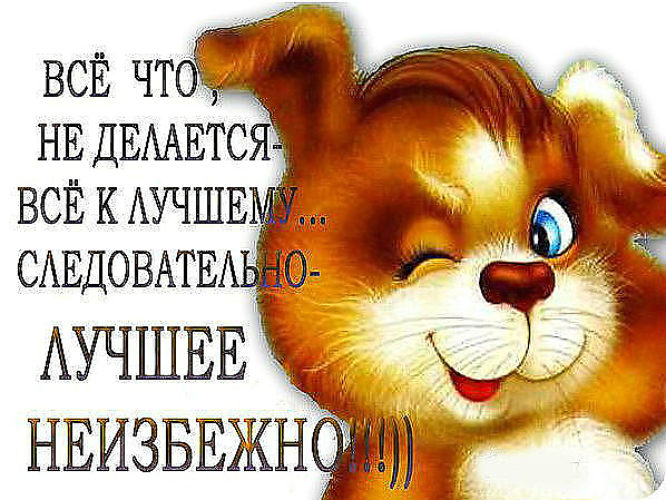 Все что не делается все делается к лучшему статус Все что не делается все делается к лучшему статус
