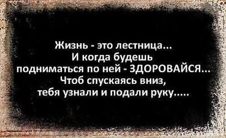 Цитаты про лестницу жизни Цитаты про лестницу жизни