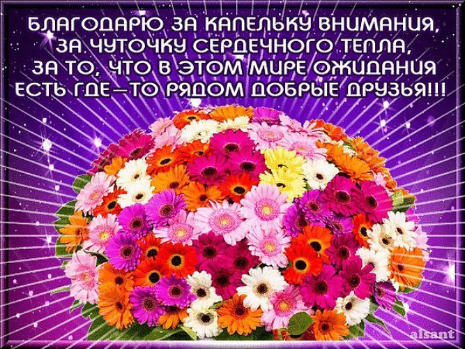 Благодарность за поздравления в контакте Благодарность за поздравления в контакте