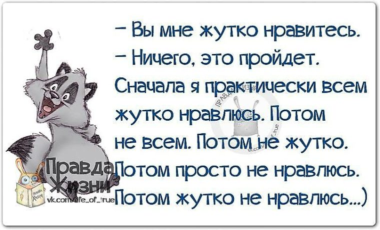 Амигуруми кот, кот аминеко и кот сердечко с «Сонник Парень приснился, к чему снится во сне Парень»