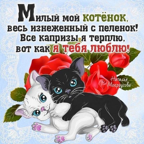 Открытки котёнок мой