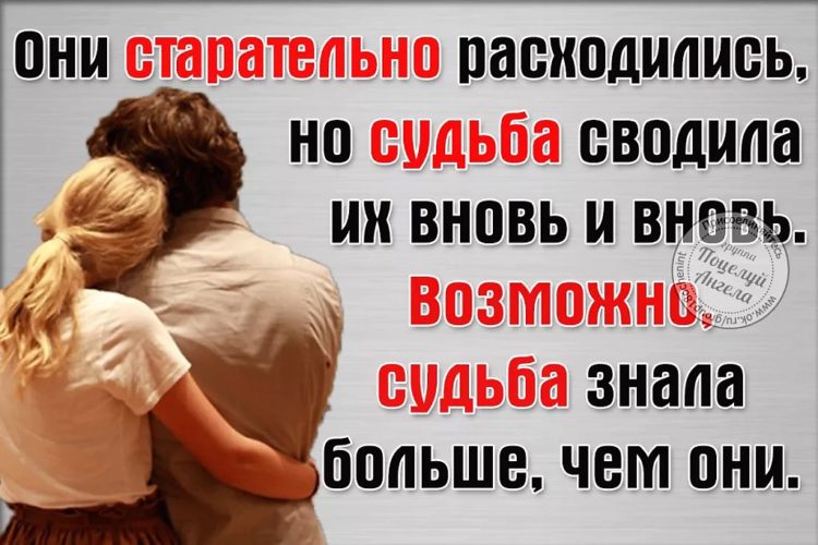 Афоризмы и цитаты Козьмы Пруткова «Пять четвертинок апельсина» читать