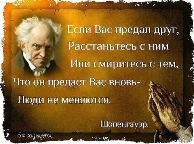 Мандарин комнатный, инструкция по уходу Инструкции по уходу за Малефисента (Maleficent) - Интернет магазин FabFable