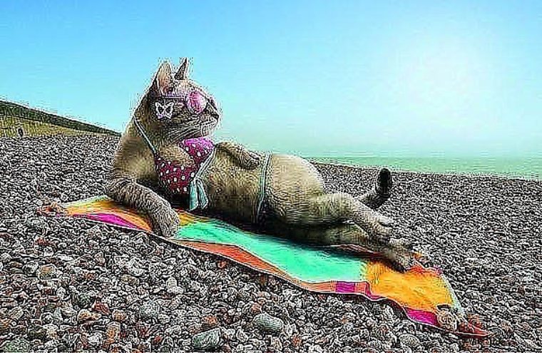 Скоро на море открытки 80