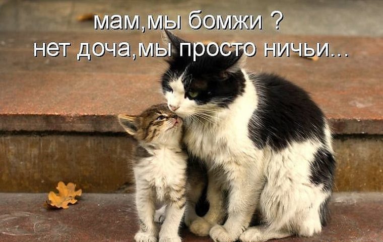 Скачать песню давайте с нами потопаем ногами