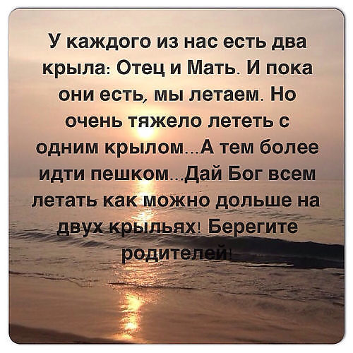 Зубы собаки и как оно выглядит Зубы собаки и как оно выглядит