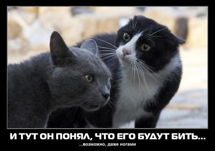 Исправление прикуса у ребенка: фото до и после Заговор от бородавок: читать на яблоко, как