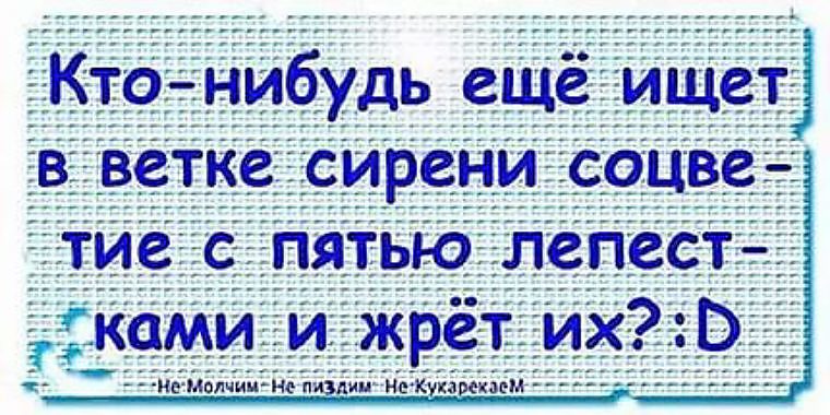 Статусы с классной надписью Статусы с классной надписью