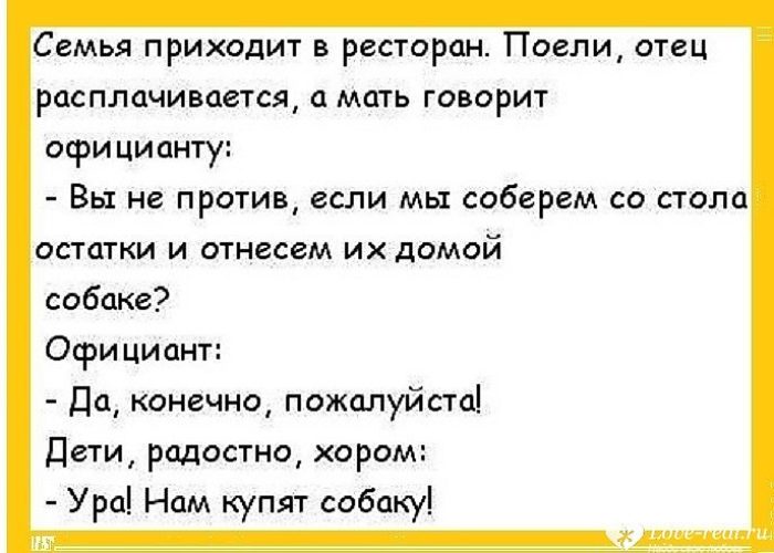 Анекдоты про семейный быть Анекдоты про семейный быть