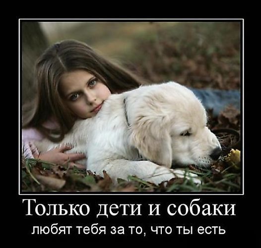 Статус про человека и животного Статус про человека и животного