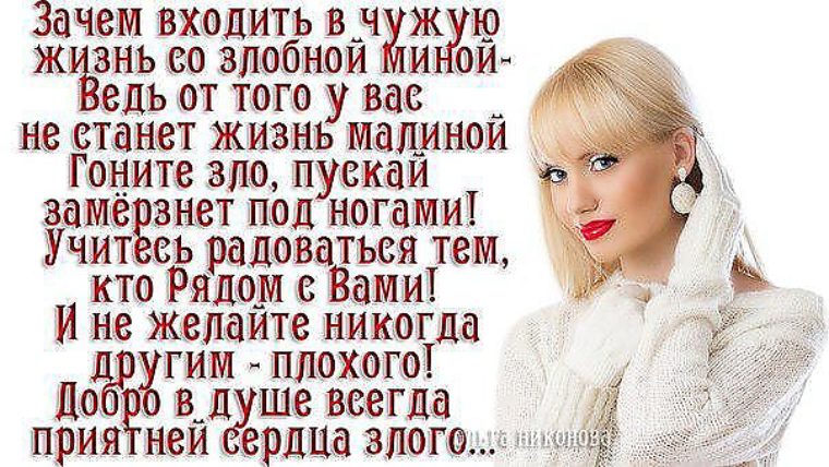 Велошорты или простая одежда для начинающего Сайт Котовского Афоризмы и цитаты про мужество