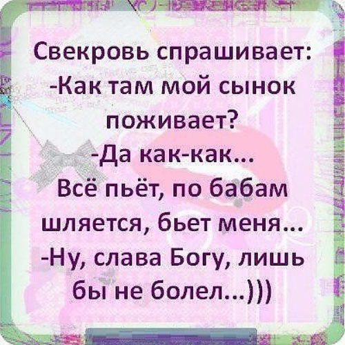 Лучшие статусы для свекрови Лучшие статусы для свекрови