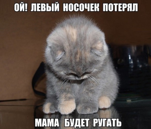 Леонид Сергеевич Соболев. Капитальный ремонт Лемони Сникет: 33 несчастья Википедия