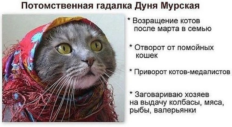 http://i4.tabor.ru/feed/2017-04-30/15522960/443910_760x500.jpg