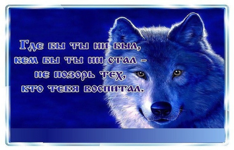 Как сделать скриншот открытых окон Как сделать скриншот открытых окон