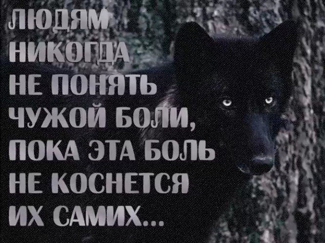 Статусы никогда не болеть Статусы никогда не болеть