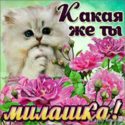 Комплимент красотками Комплимент красотками