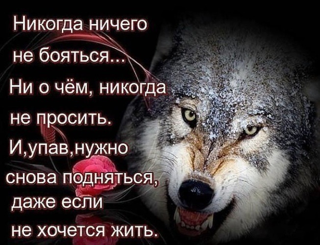 Статусы не проси помощи Статусы не проси помощи