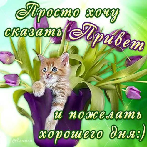 Пожелания с хорошим утром с картинками Пожелания с хорошим утром с картинками