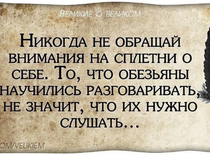 Цитаты для своих завистников Цитаты для своих завистников