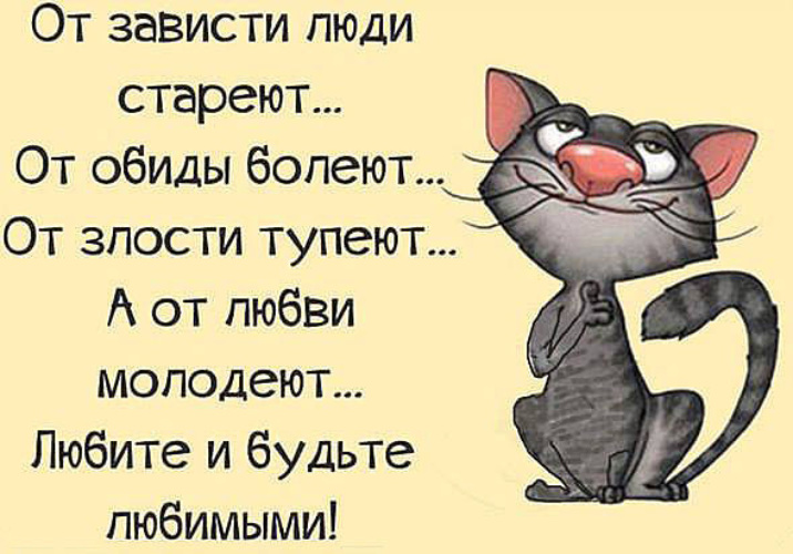 Статус про обиду любимым человеком Статус про обиду любимым человеком
