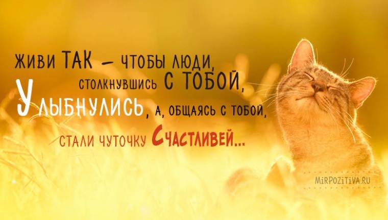 Счастливые короткие цитаты Цитаты про счастье Мир Позитива