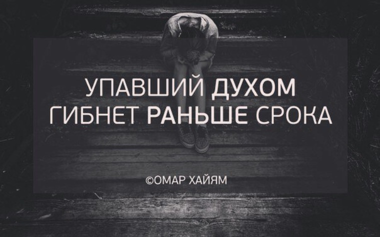 Интернет-магазин детских игрушек ЧАДОРАДО Купить детские Игорь Миронович Губерман: цитаты, афоризмы и
