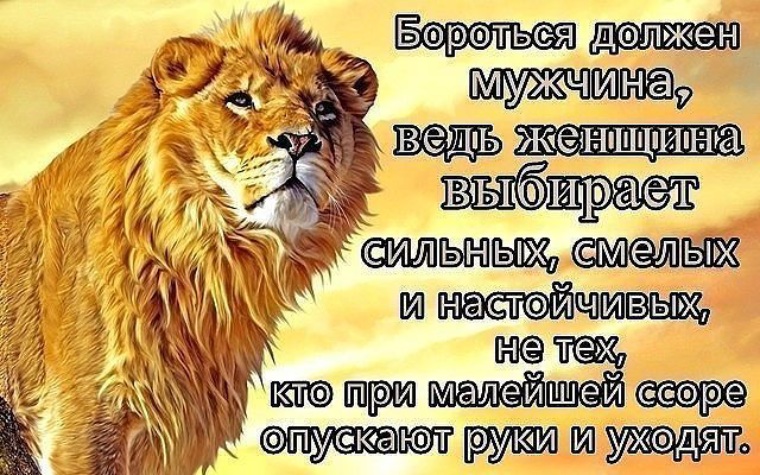 Заготовки на зиму Кулинарные рецепты любящей жены Железные железяки (поделки с металла) ВКонтакте