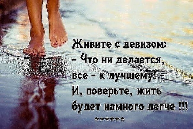 Статусы научилась жить одной Статусы научилась жить одной