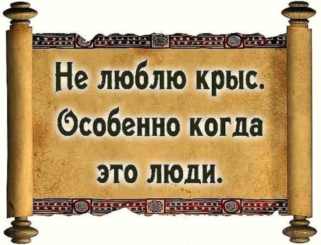 Статус про друзей и крыс Статус про друзей и крыс