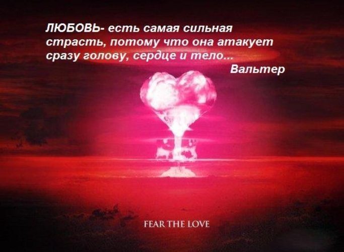 Красивые и мудрые афоризмы про любовь Красивые и мудрые афоризмы про любовь