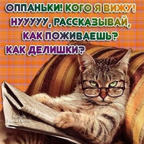 Открытки как дела у вас Открытки как дела у вас