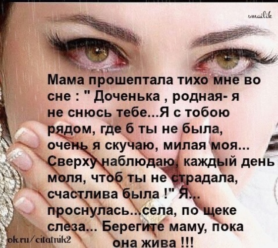 Берегите мам своих стих Берегите мам своих стих